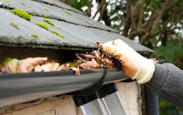 gutter cleaning Stanmer, East Sussex