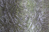 Stanmer fibreglass roof work